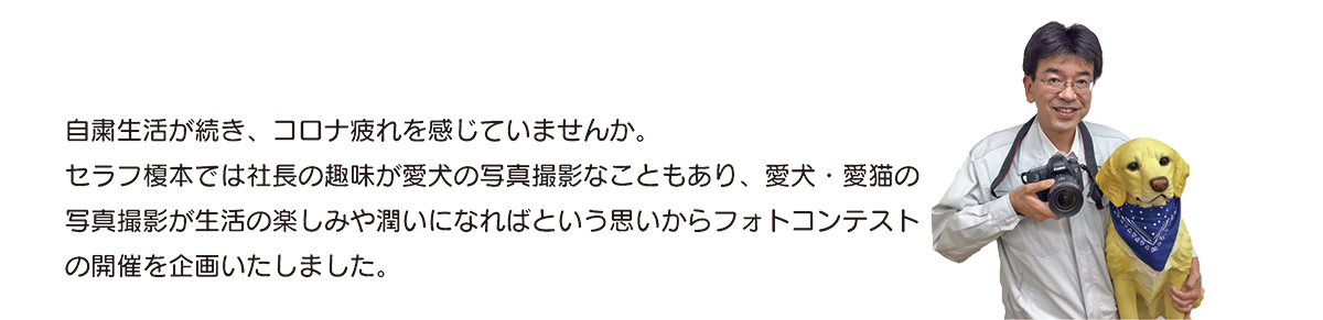 愛犬・愛猫のフォトコンテスト